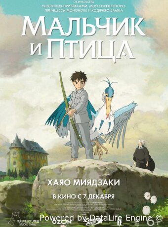 Мальчик и птица