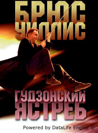 Гудзонский ястреб