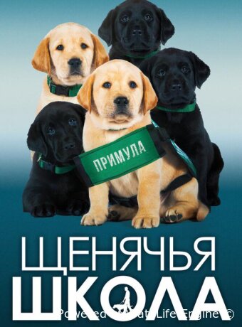 Щенячья школа