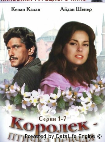 Королёк – птичка певчая