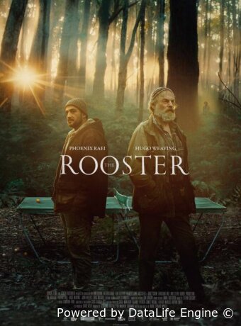 The Rooster