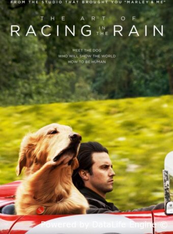 The Art of Racing in the Rain