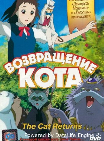 Возвращение кота