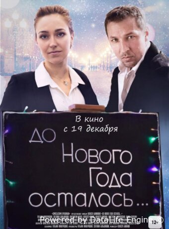 До Нового года осталось…