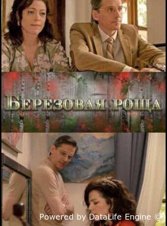 Берёзовая роща
