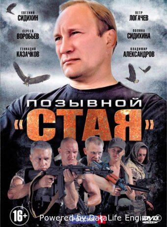 Позывной «Стая»
