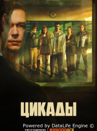 Цикады