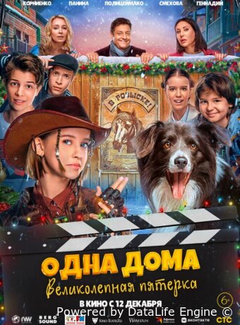 Одна дома. Великолепная пятерка