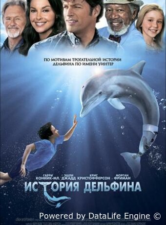 История дельфина